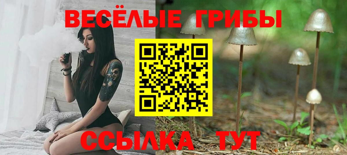 Галлюциногенные грибы мухоморы Нижнекамск